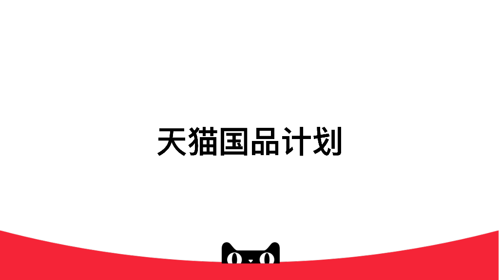 天猫国品计划方案&brief