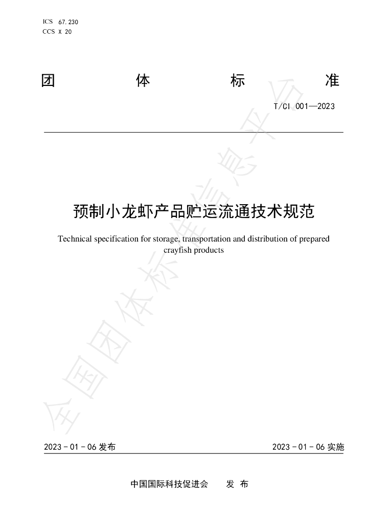 T/CI 001-2023 标准预览