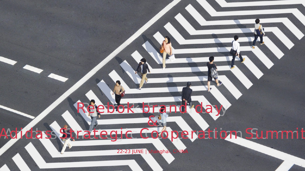 锐步Reebok Brand Day & Adidas Strategic方案