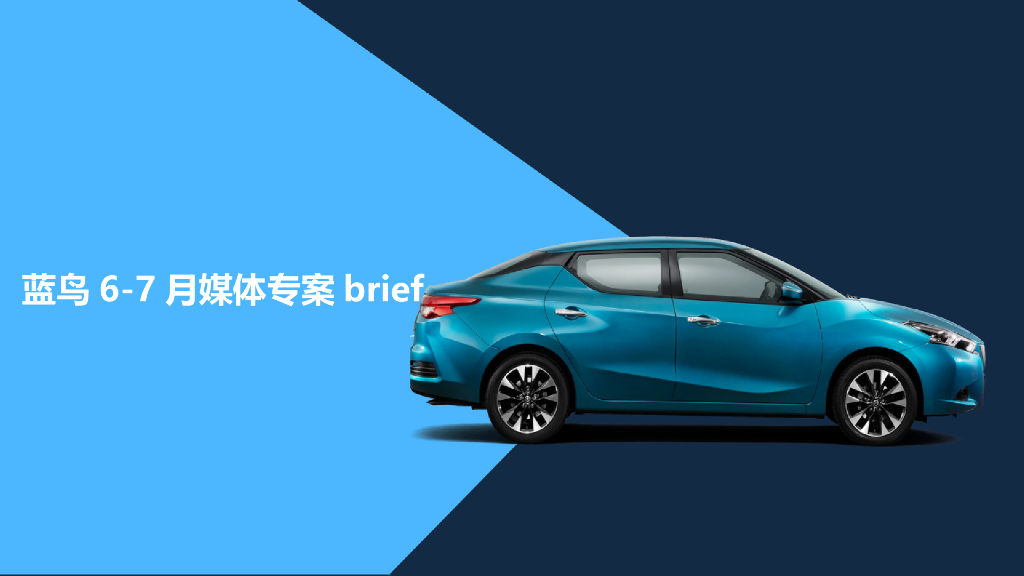 蓝鸟6-7月媒体专案brief