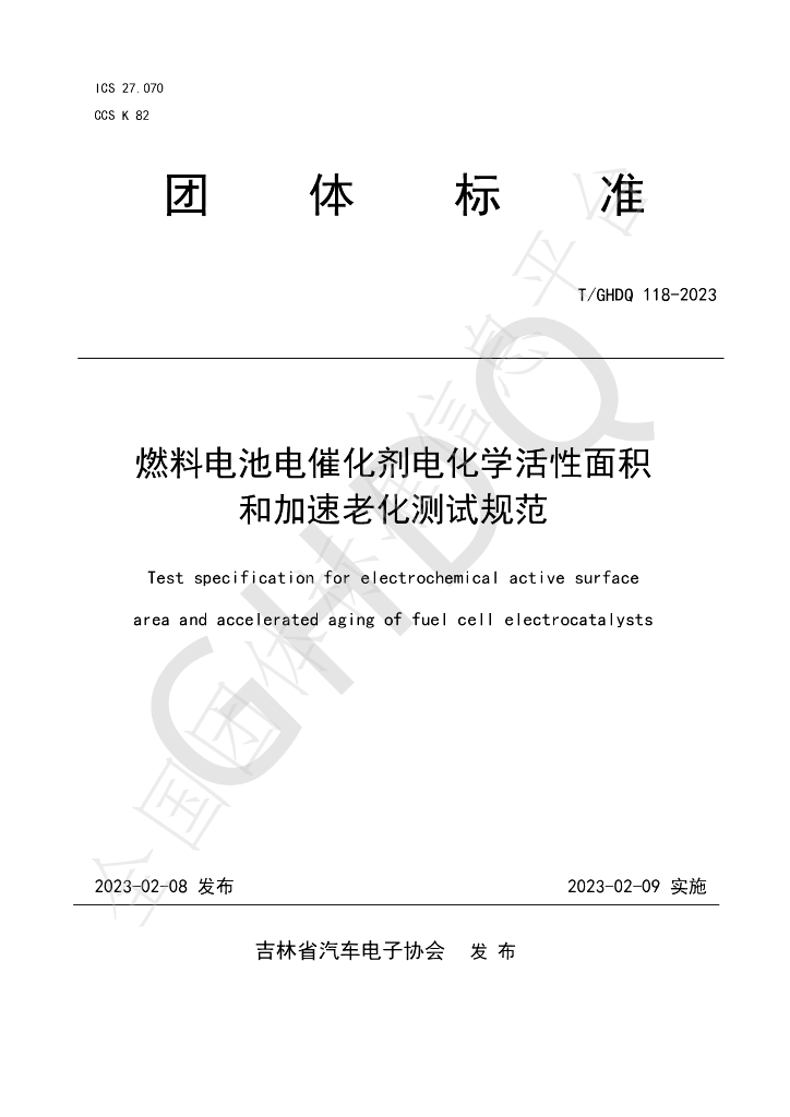 T/GHDQ 118-2023 标准预览