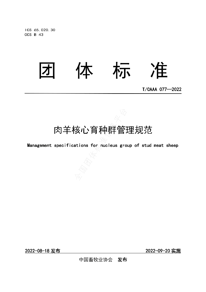 T/CAAA 077-2022 标准预览