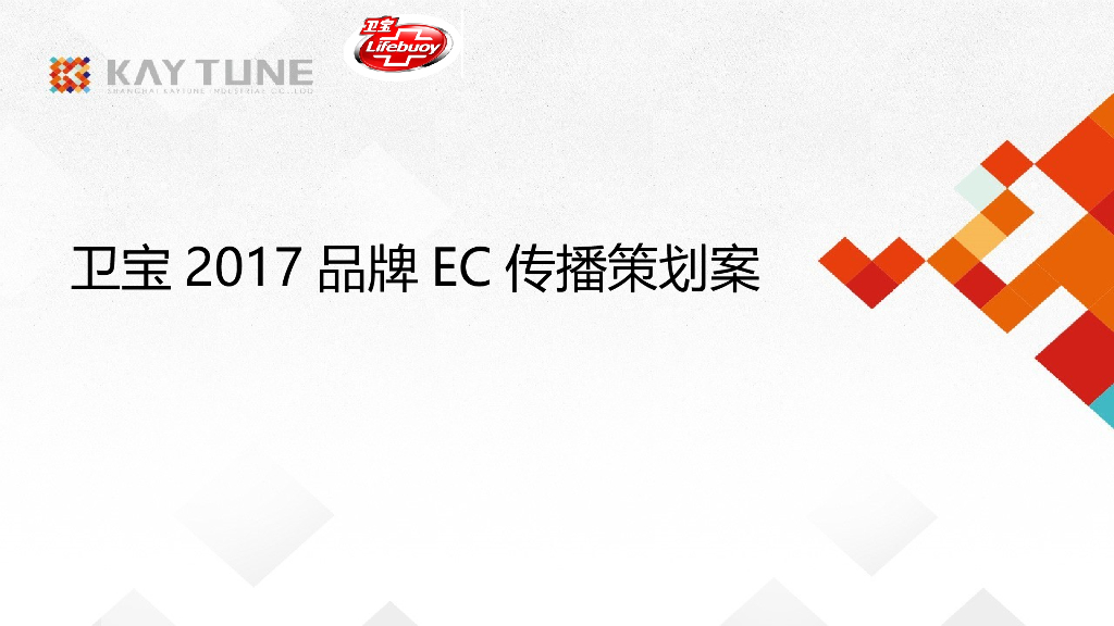 卫宝2017EC年度公关传播方案