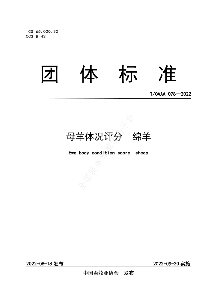 T/CAAA 078-2022 标准预览