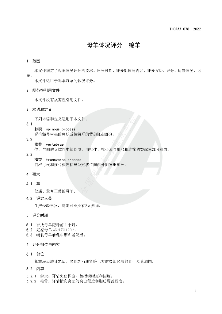 T/CAAA 078-2022 标准预览