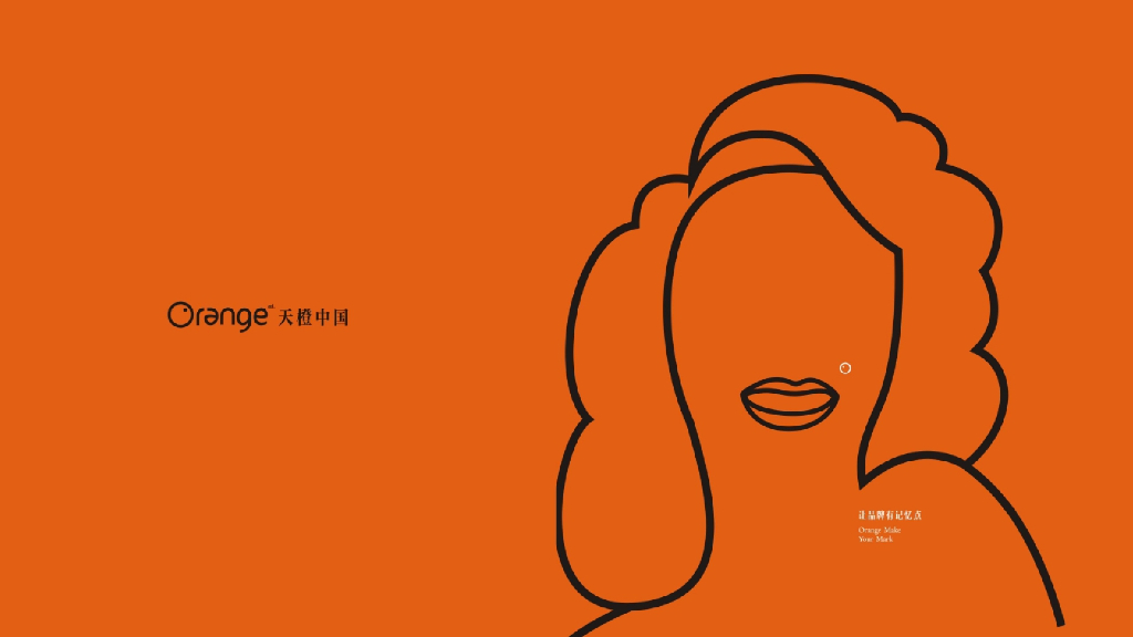 天橙中国：半山豪庭策略推广方案