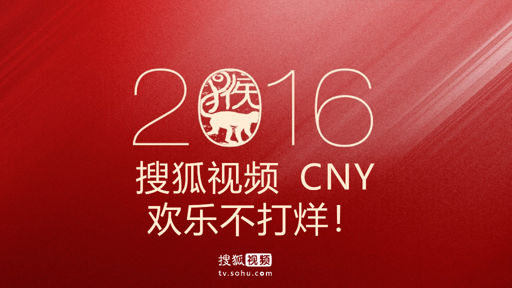 搜狐视频2016-CNY招商方案