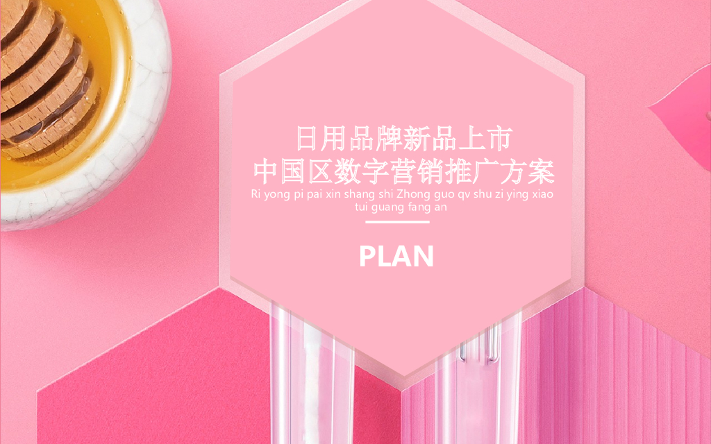 日用品牌数字营销推广方案