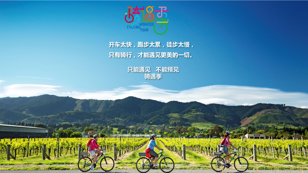 骑遇季项目方案