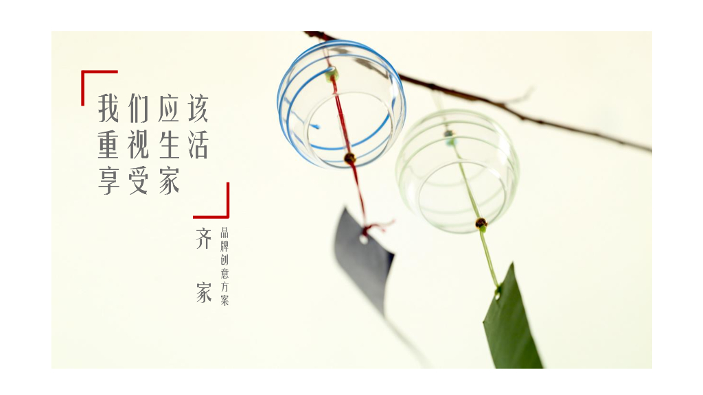 齐家网2015品牌推广方案