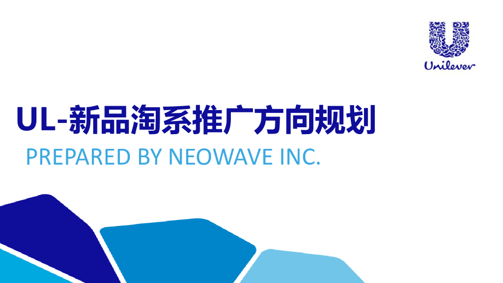 联合利华新品淘宝系推广执行方案