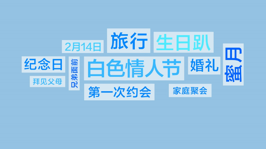 黑人超白牙膏高清白数字营销方案_第9页