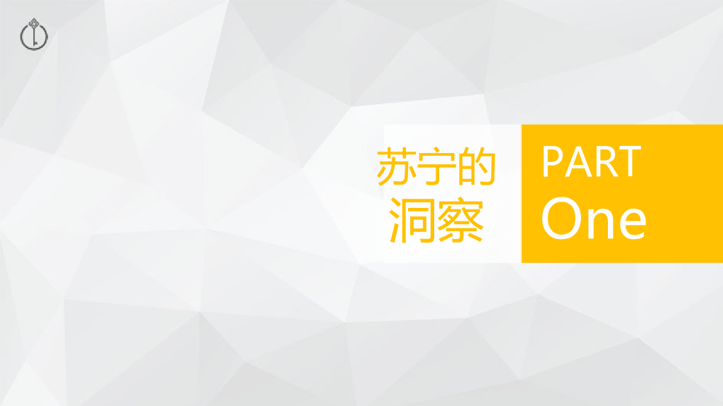 苏宁易购-空气净化器品牌推广方案