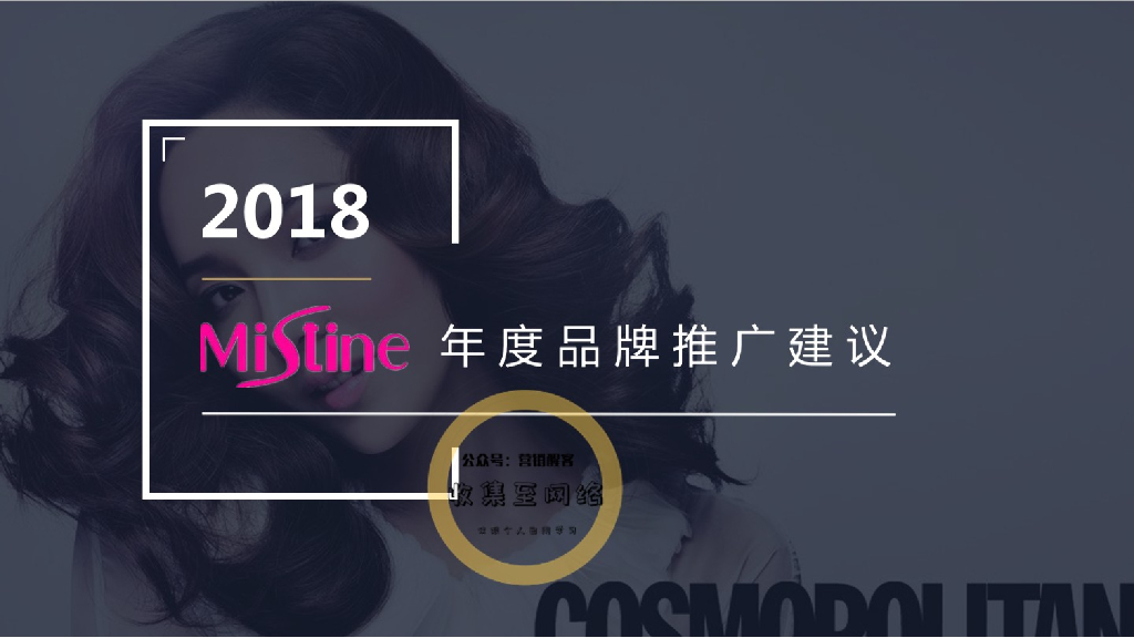 Mistine年度整合营销方案