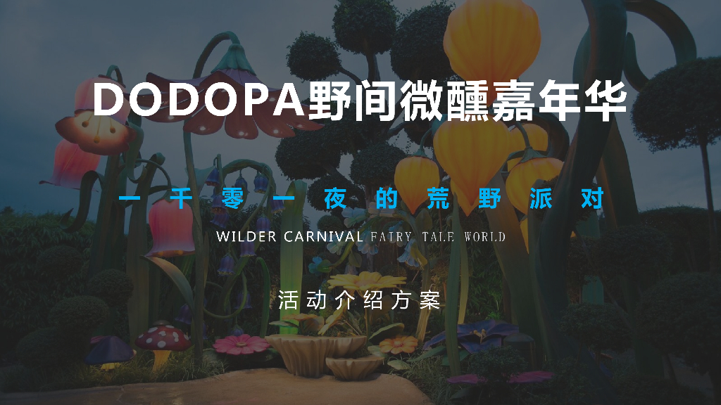 02022DODOPA野间微醺嘉年华“一千零一夜的荒野派对”活动方案