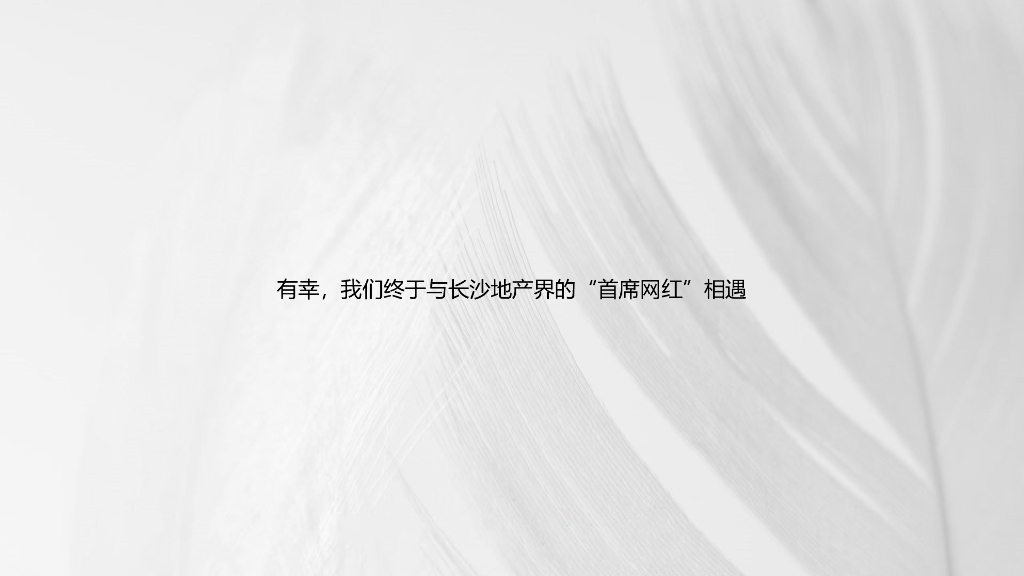 2020长沙印湘江项目推广策略提报