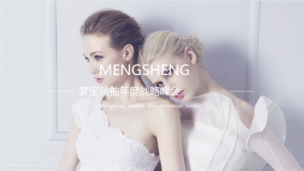 2020梦笙领袖年度战略峰会活动策划方案(微商品牌）