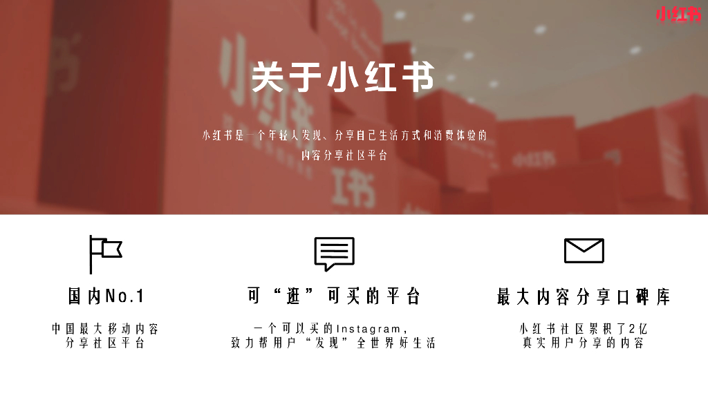 2019小红书明星入驻介绍