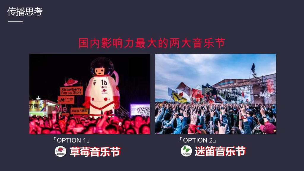 2019黑鲸HLAJeans音乐节IP跨界营销合作建议方案_第10页