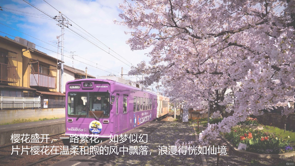 2019地产项目樱花主题汉服游园会