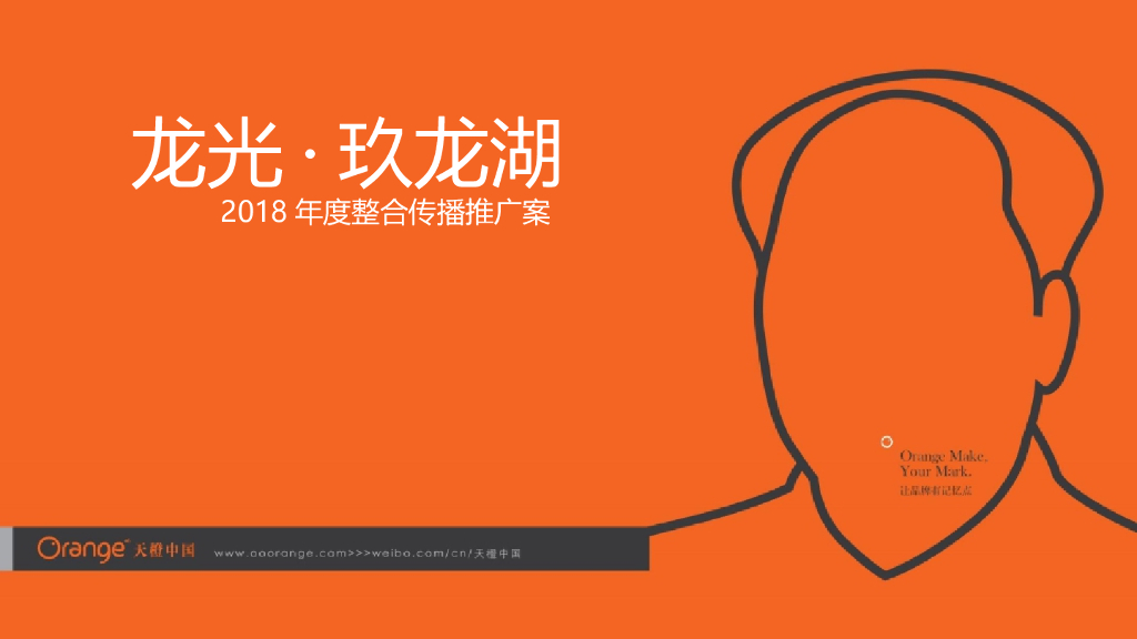 2018龙光玖龙湖年度推广策略终版