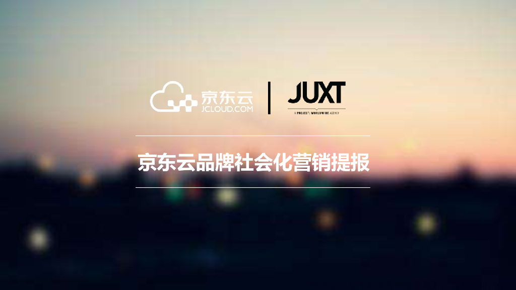 2017京东云品牌社会化营销