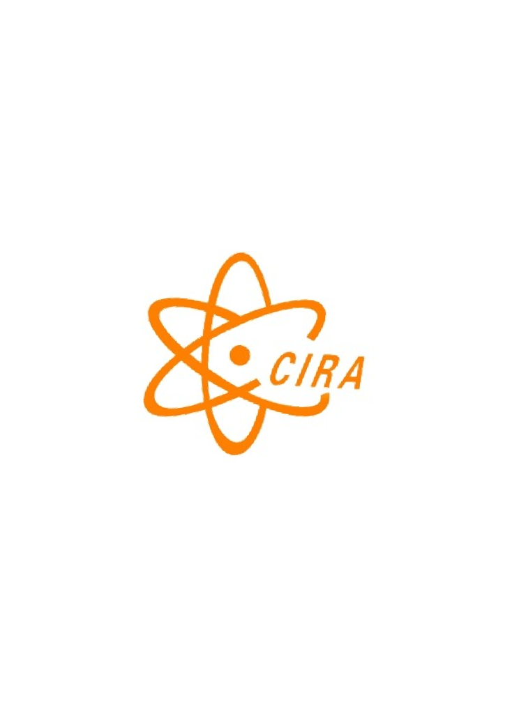 T/CIRA 29-2022 标准预览