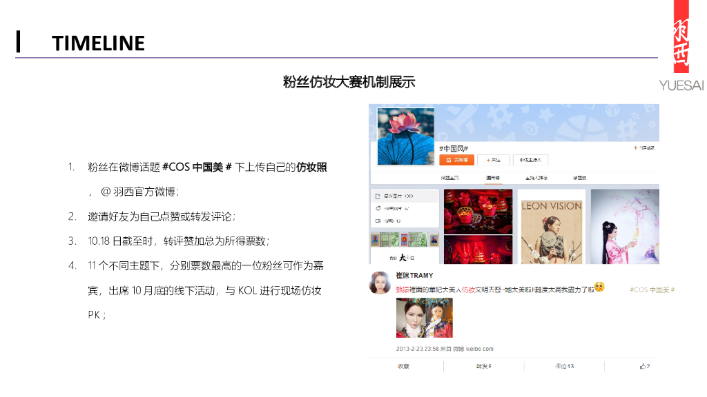 羽西双十一营销方案_第5页