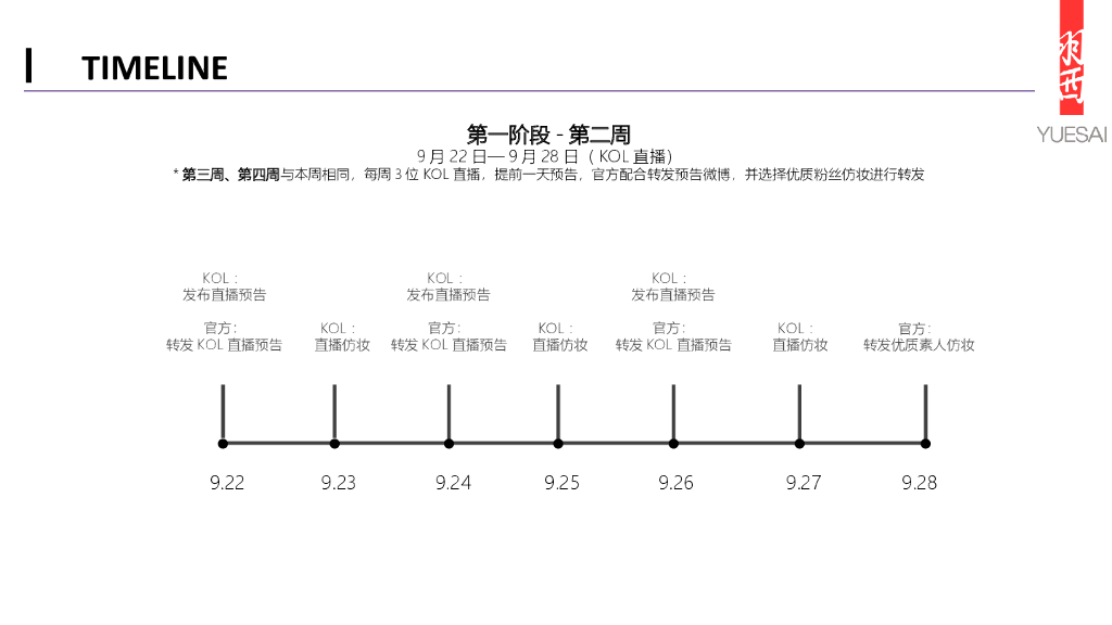 羽西双十一营销方案_第6页