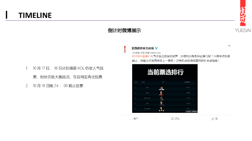 羽西双十一营销方案_第9页