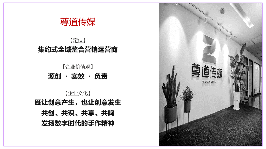 海尔生活家电电商营销传播方案_第10页