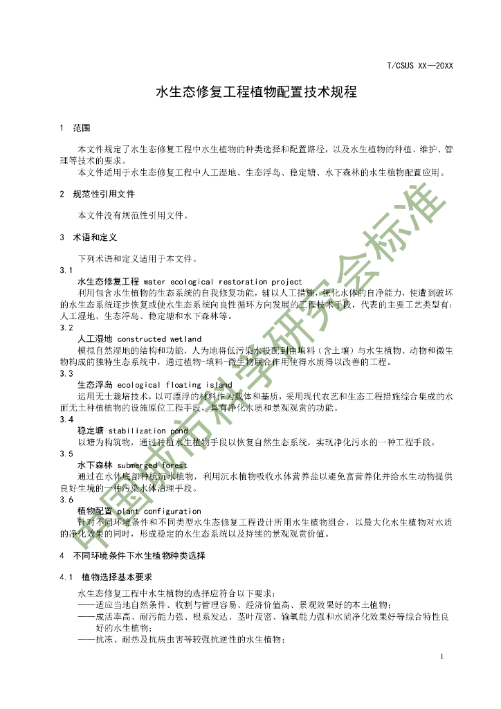  标准预览