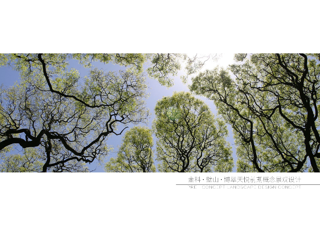 轻奢雅致+禅意主题住宅示范区景观概念设计