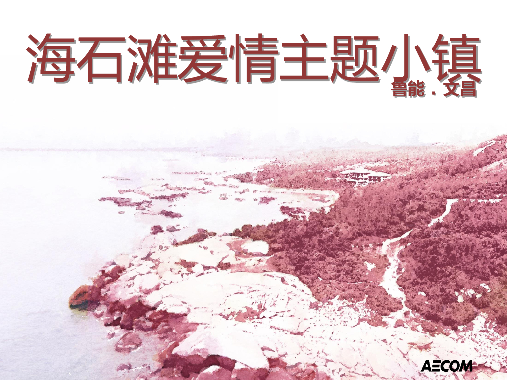 [山东]鲁能文昌海石滩爱情主题小镇旅游景观方案文本（PDF+96页）