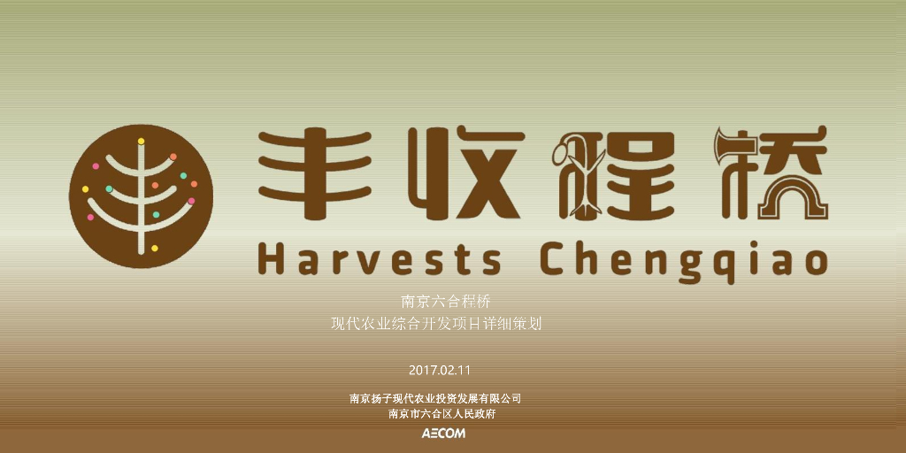 [江苏]现代全域农旅项目详细规划设计