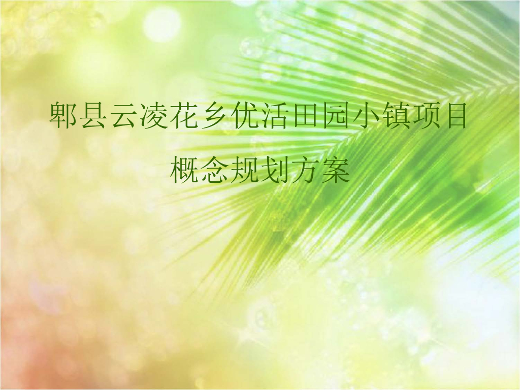 [四川]现代文旅田园小镇项目概念规划设计