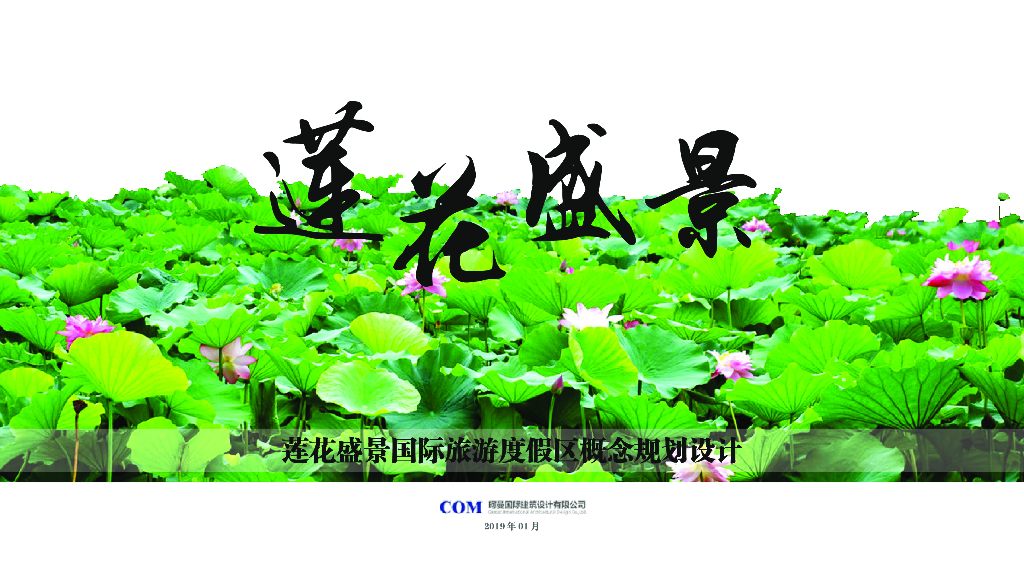 [四川]莲花国际旅游度假区概念规划设计