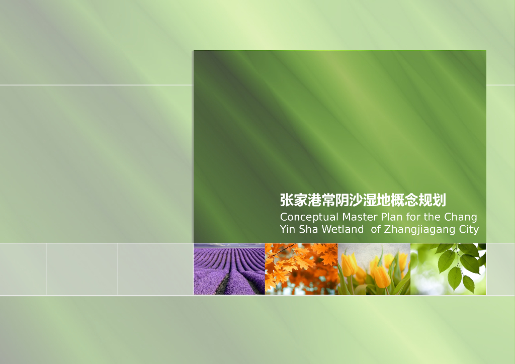 [江苏]国际绿色田园休闲农业观光旅游度假村景观设计方案