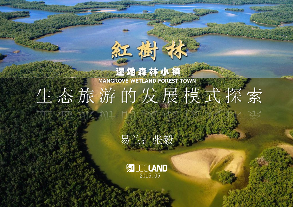 [海南]国家湿地森林小镇乡村旅游区景观设计方案