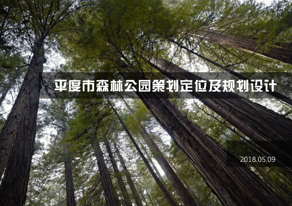 [青岛]生态旅游+休闲森林公园规划设计方案