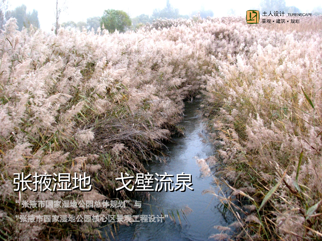 [甘肃]张掖生态湿地公园景观效果图