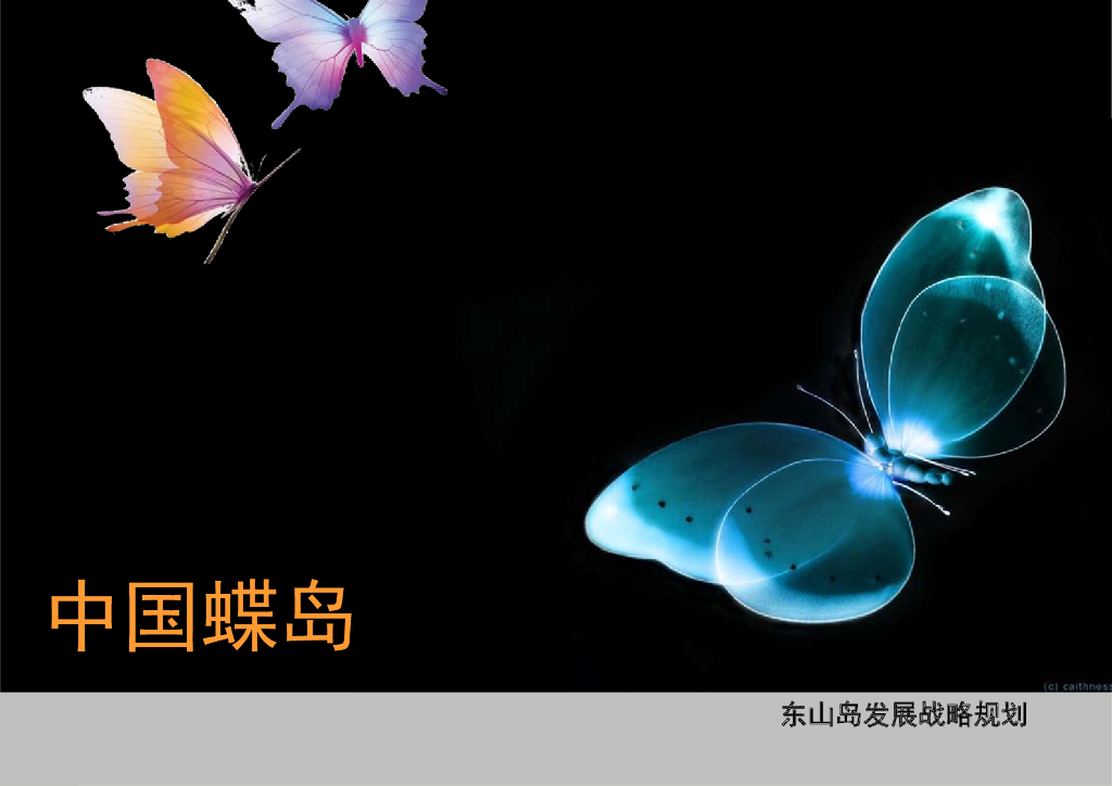 [福建]蝶岛某岛发展战略规划景观规划设计