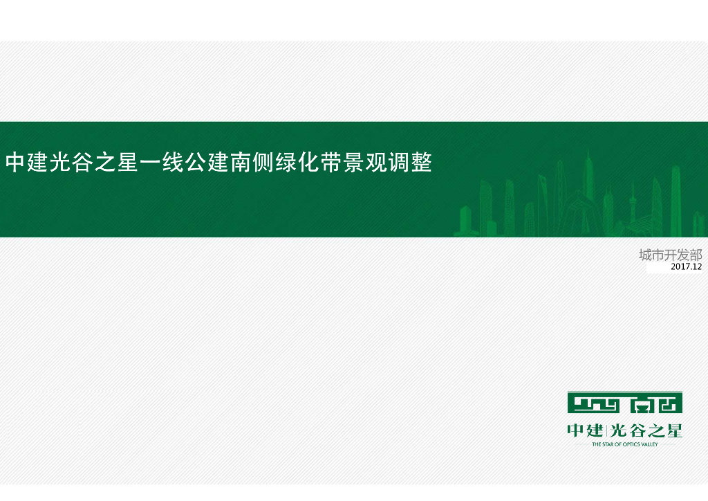 [湖北]某一线公建南侧绿化带景观调整方案