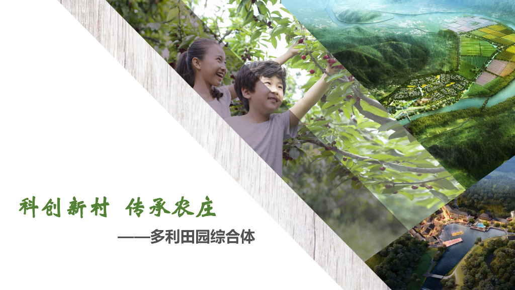 乡村振兴_多利田园综合体案例解读2018