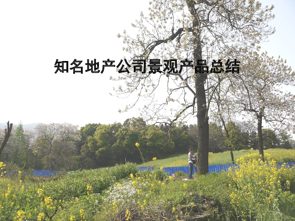 知名地产公司景观产品总结