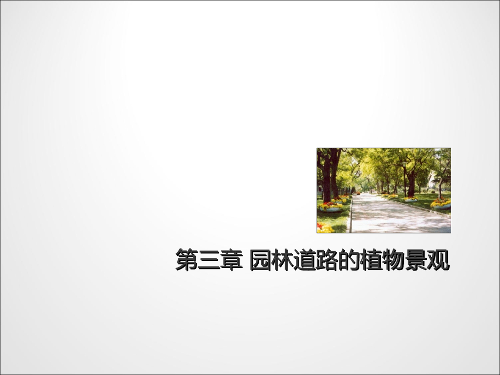 园林道路的植物景观