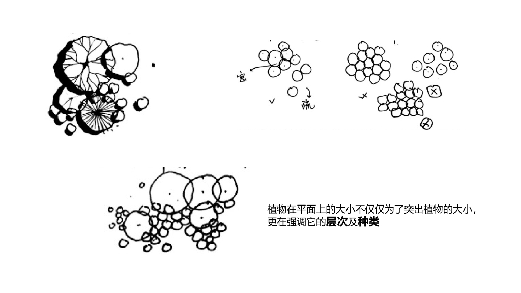 画法总结及植物种类讲解PPT