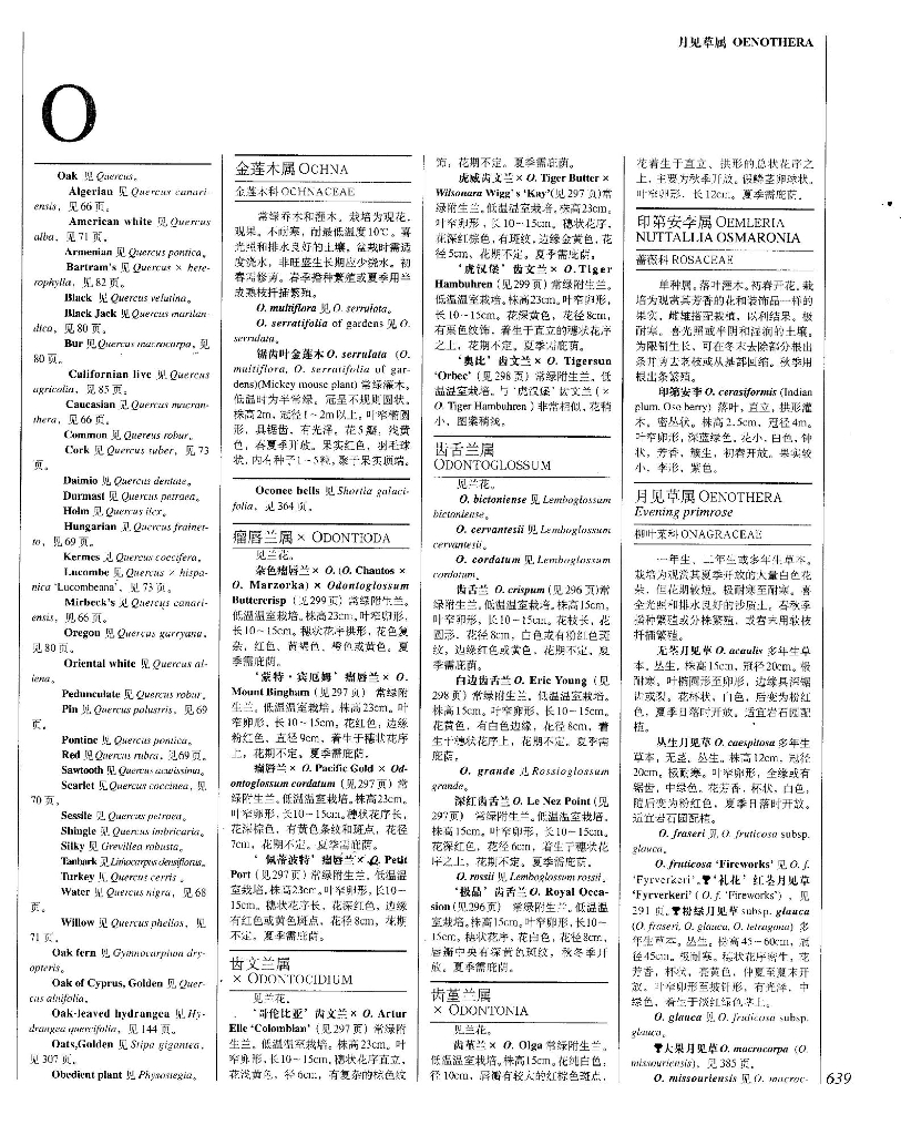 世界园林植物与花卉百科全书-植物词典-O