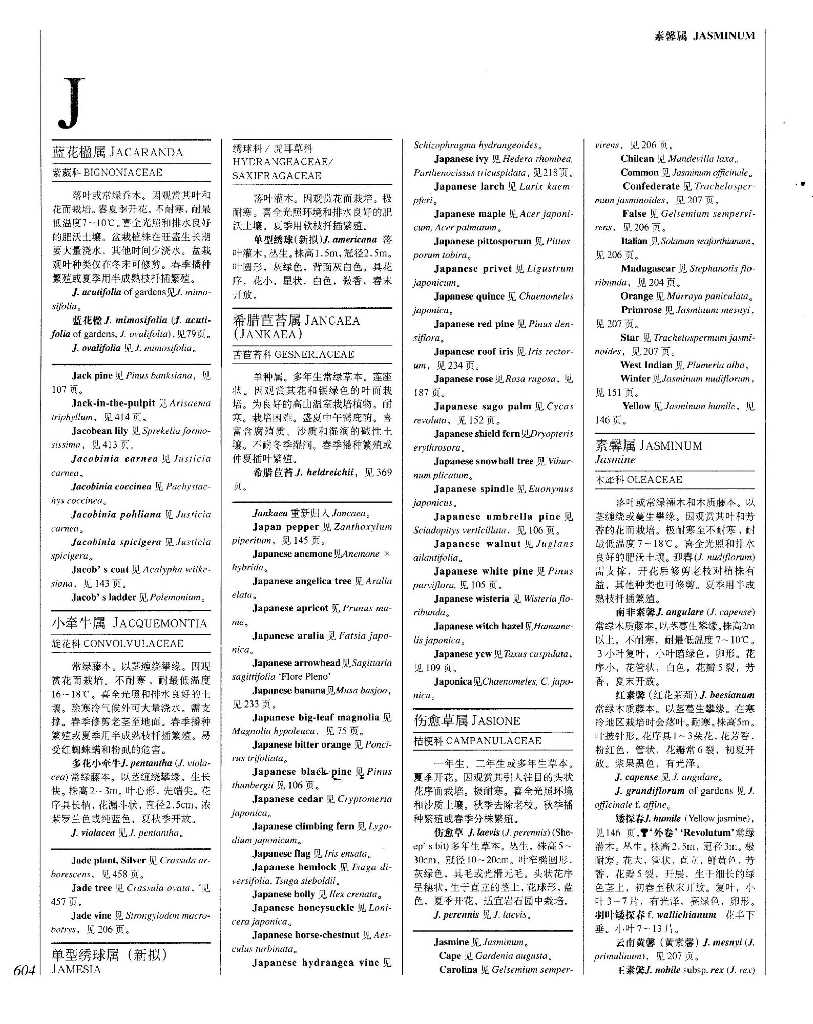 世界园林植物与花卉百科全书-植物词典-J