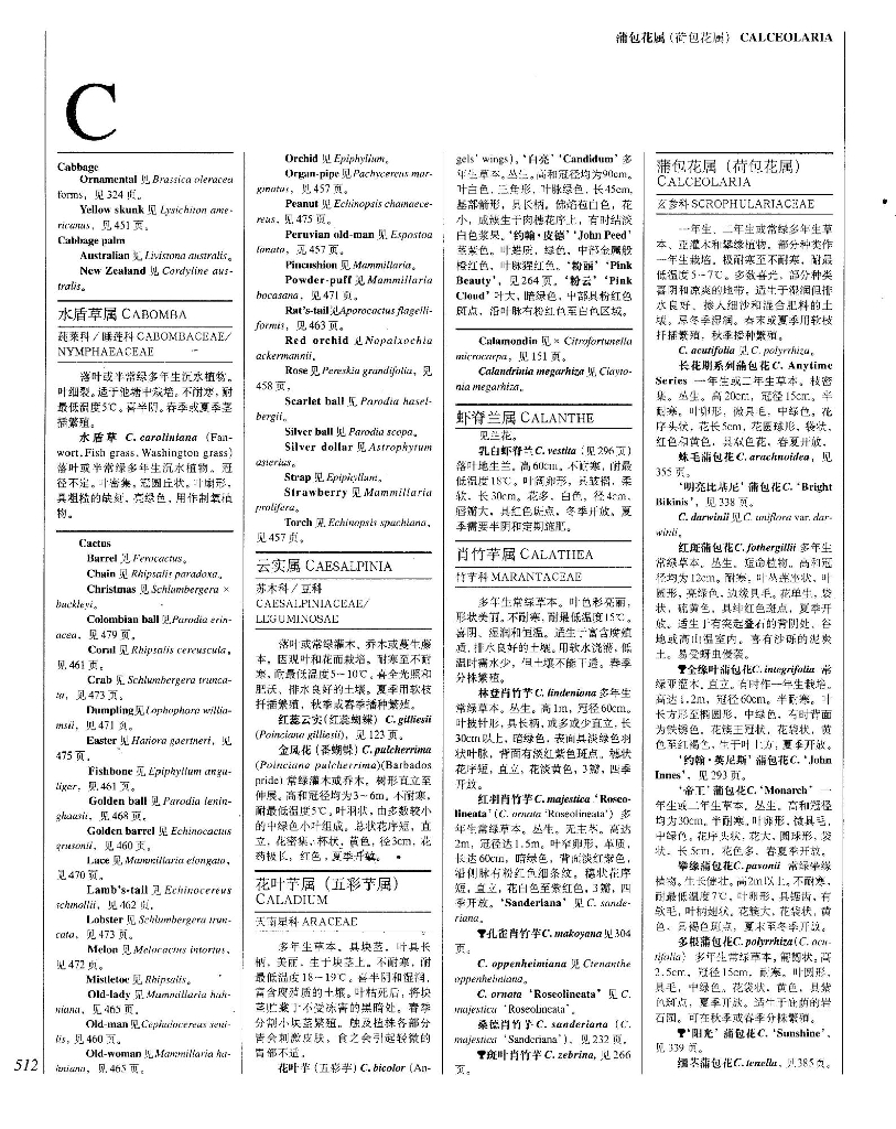 世界园林植物与花卉百科全书-植物词典-C